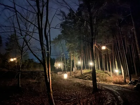 d44f3b6a-ac5b-46dd-940b-e6691e8b1e47