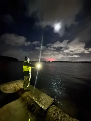 d59dbf5e-34ff-4268-88a3-4d810b686b7b